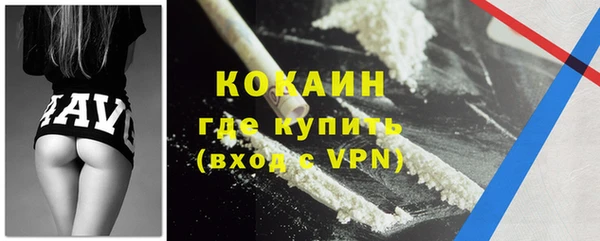 индика Аркадак