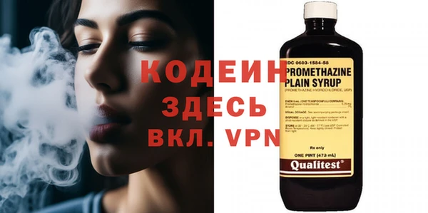 индика Аркадак