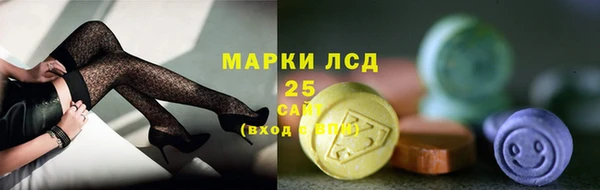 индика Аркадак