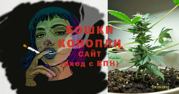 индика Аркадак