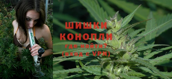 spice Армянск