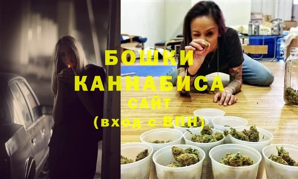 индика Аркадак