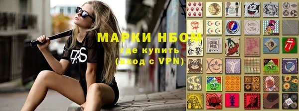 индика Аркадак