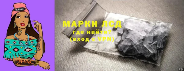 индика Аркадак