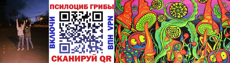 Галлюциногенные грибы Psilocybe Певек